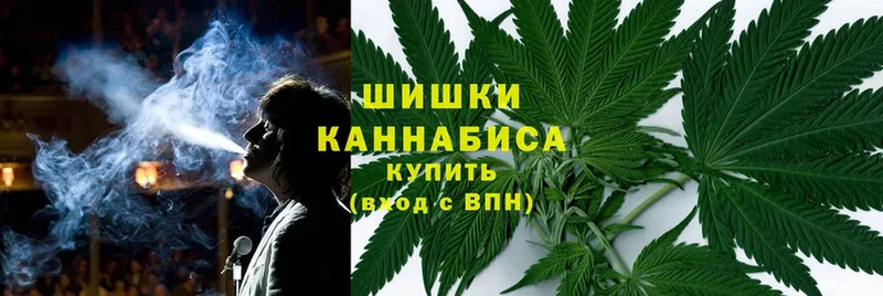  Cocaine Кущёвская